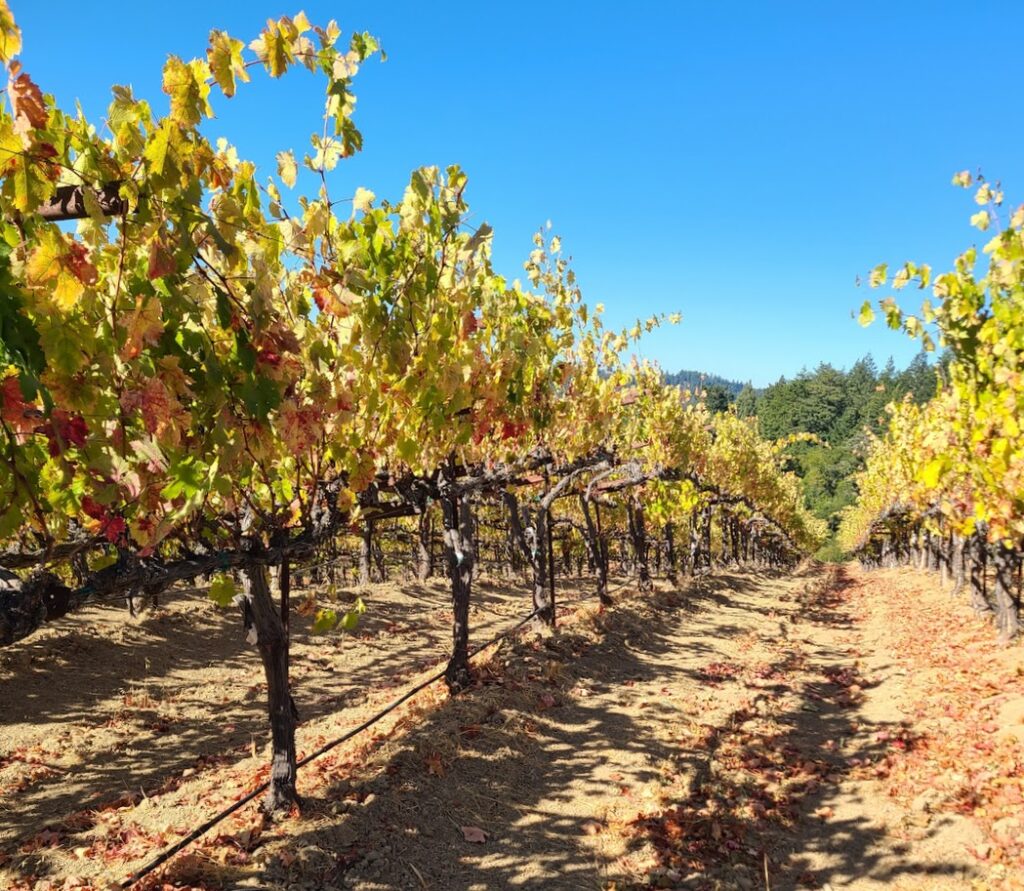 November News, Events & Specials Burrell School Vineyards & Winery