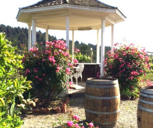 June’s A-Bloom With Wineworthy Events