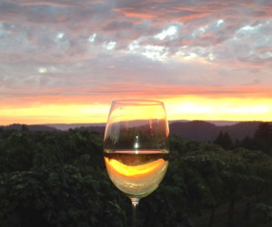 LRC Evening of Cellar Wines & Sunset