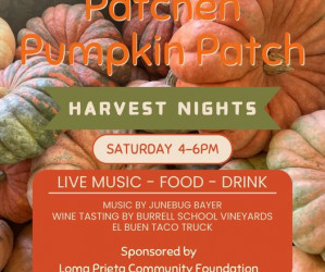 Patchen Pumpkin Patch (off-site)